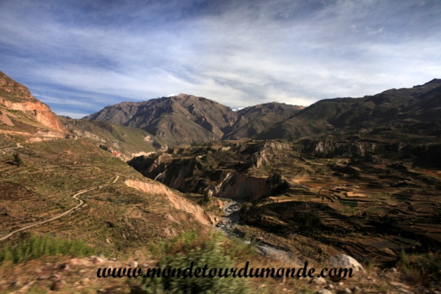 Colca Canyon (8).JPG