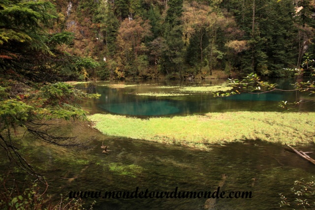 Jiuzhaigou (23).JPG