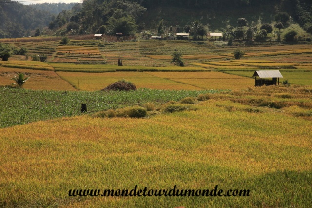 Mae Hong Son Loop (67).JPG