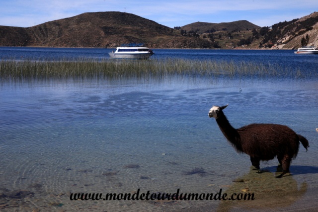 Lac Titicaca (12).JPG